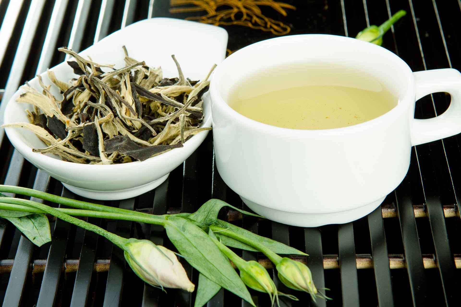 White Tea: Refinement of Taste and Tradition